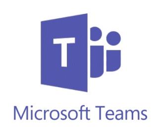 Microsoft Teams software IT