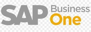 SAP Business One by Celeritech software ERP